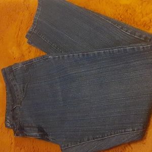 The Limited Denim Jeans